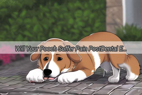 Will Your Pooch Suffer Pain PostDental Extraction A HeartWrenching Look at Pet Dentistrys Dilemma